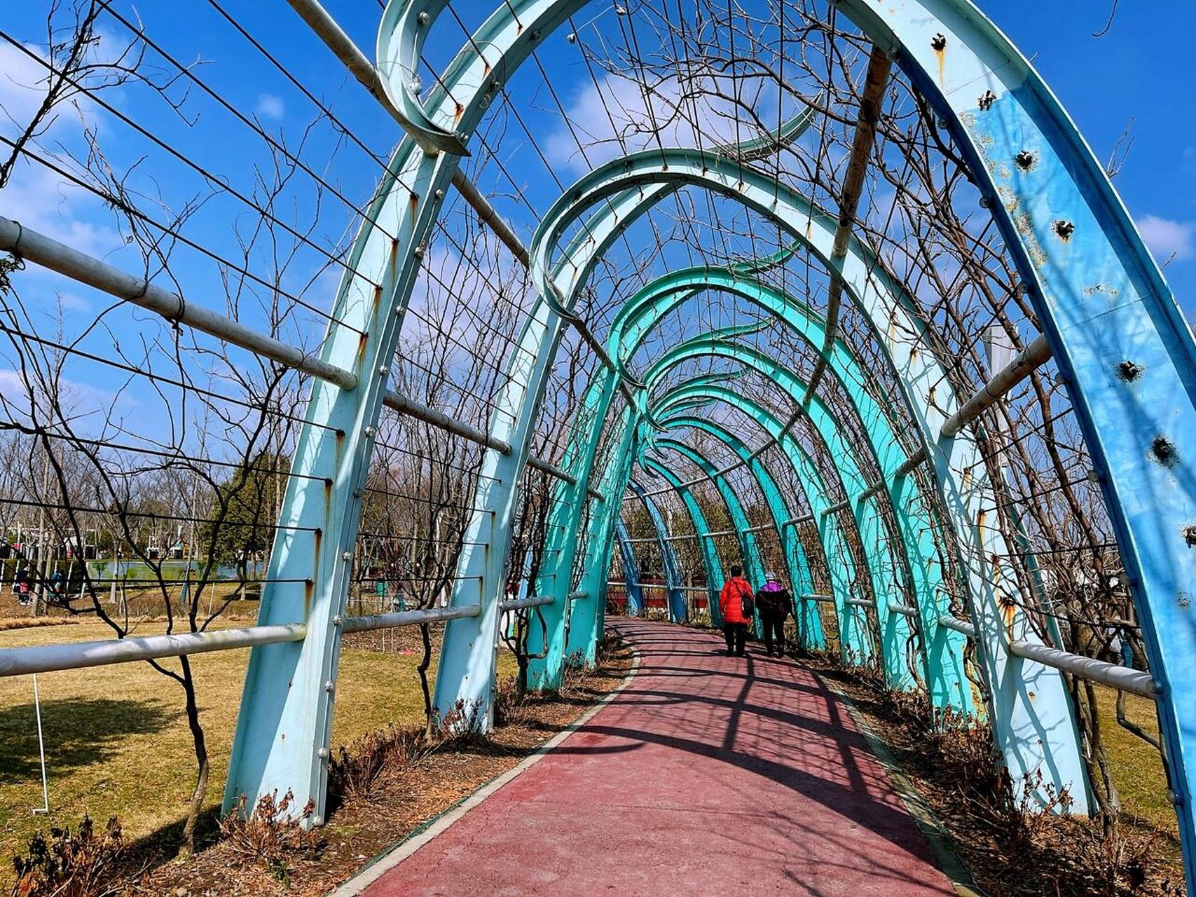 91浦江郊野公园 | 上海首个4a级的郊野公园 996993简介 93
