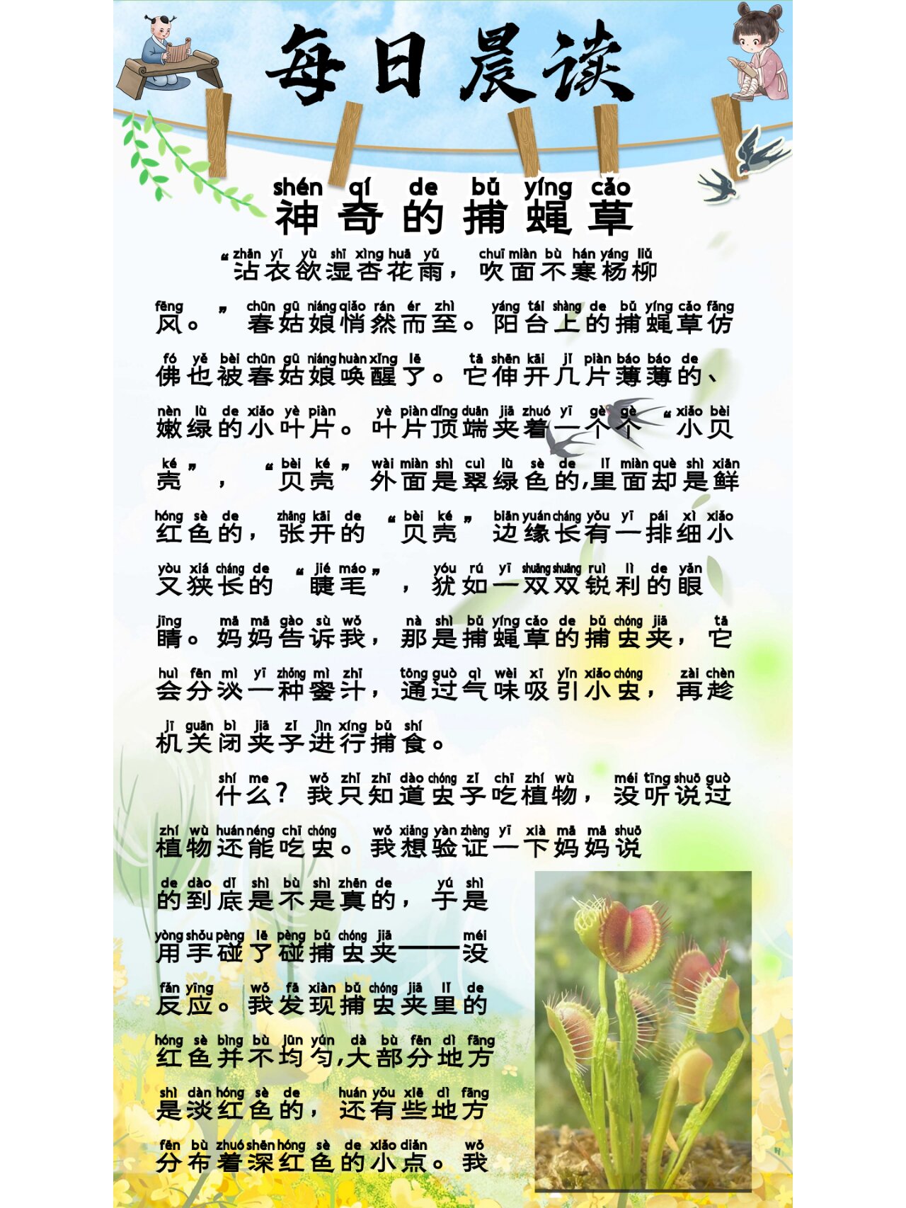 小学生晨读素材积累:神奇的捕蝇草