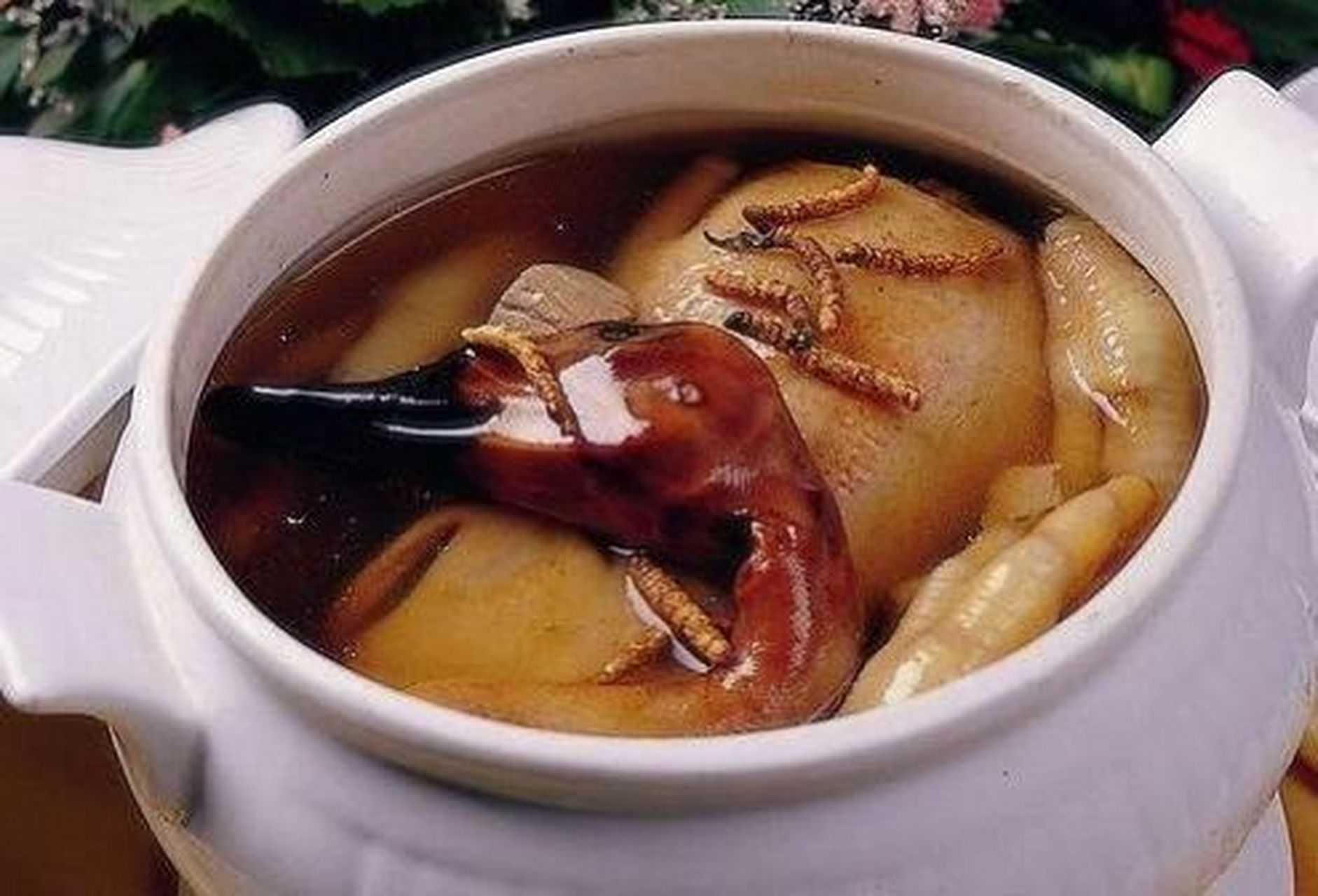 虫草老鸭汤的详细做法 冬虫夏草炖老鸭,补虚损,益精气;对肺结核喘咳