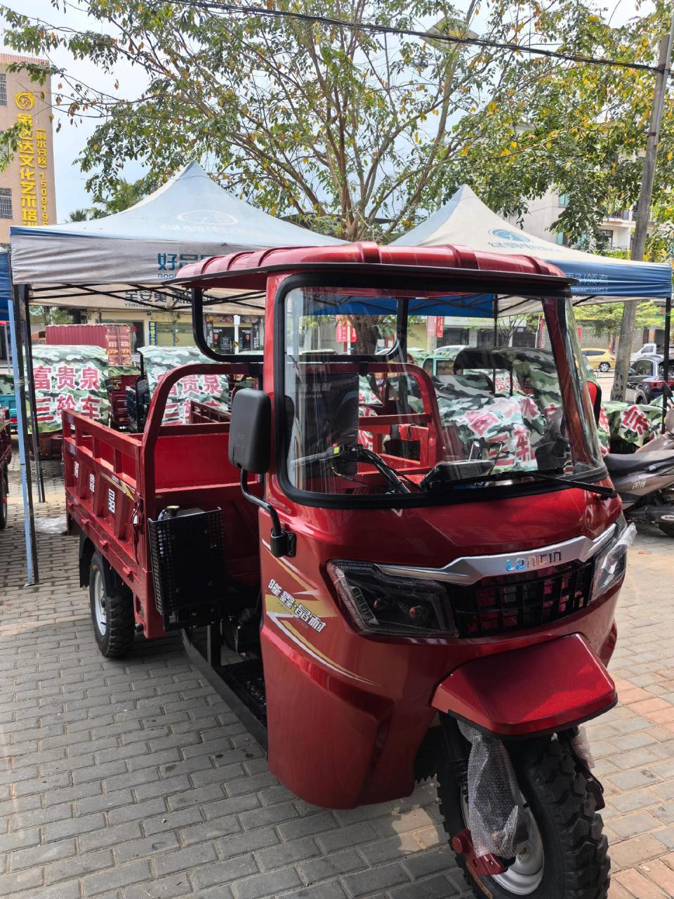 隆鑫三轮车175型价格图片