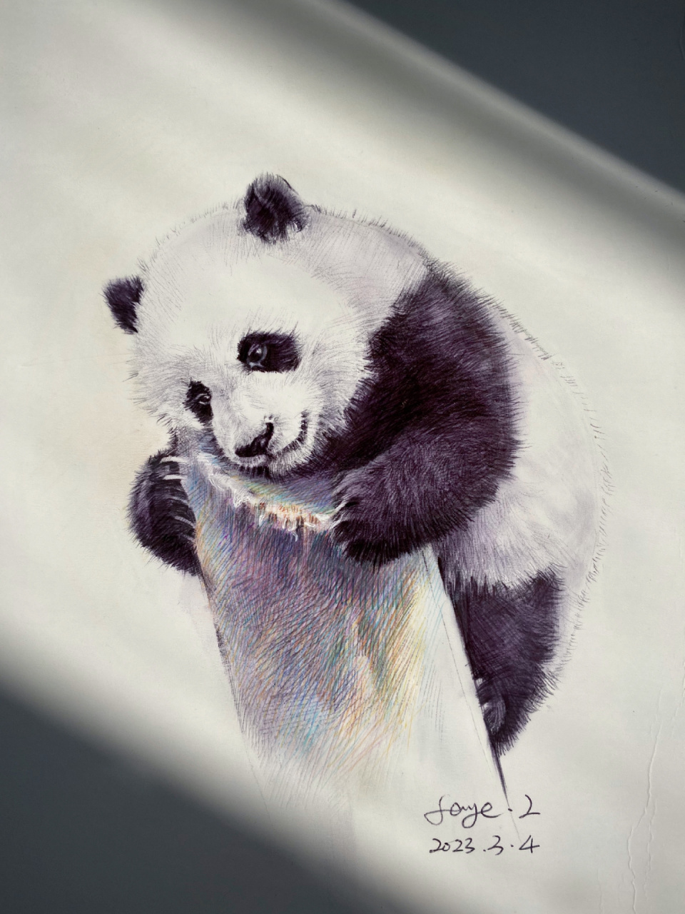 动物素描-熊猫 及一些作画步骤 这幅画尺寸较小 工具:黑色圆珠笔 彩色