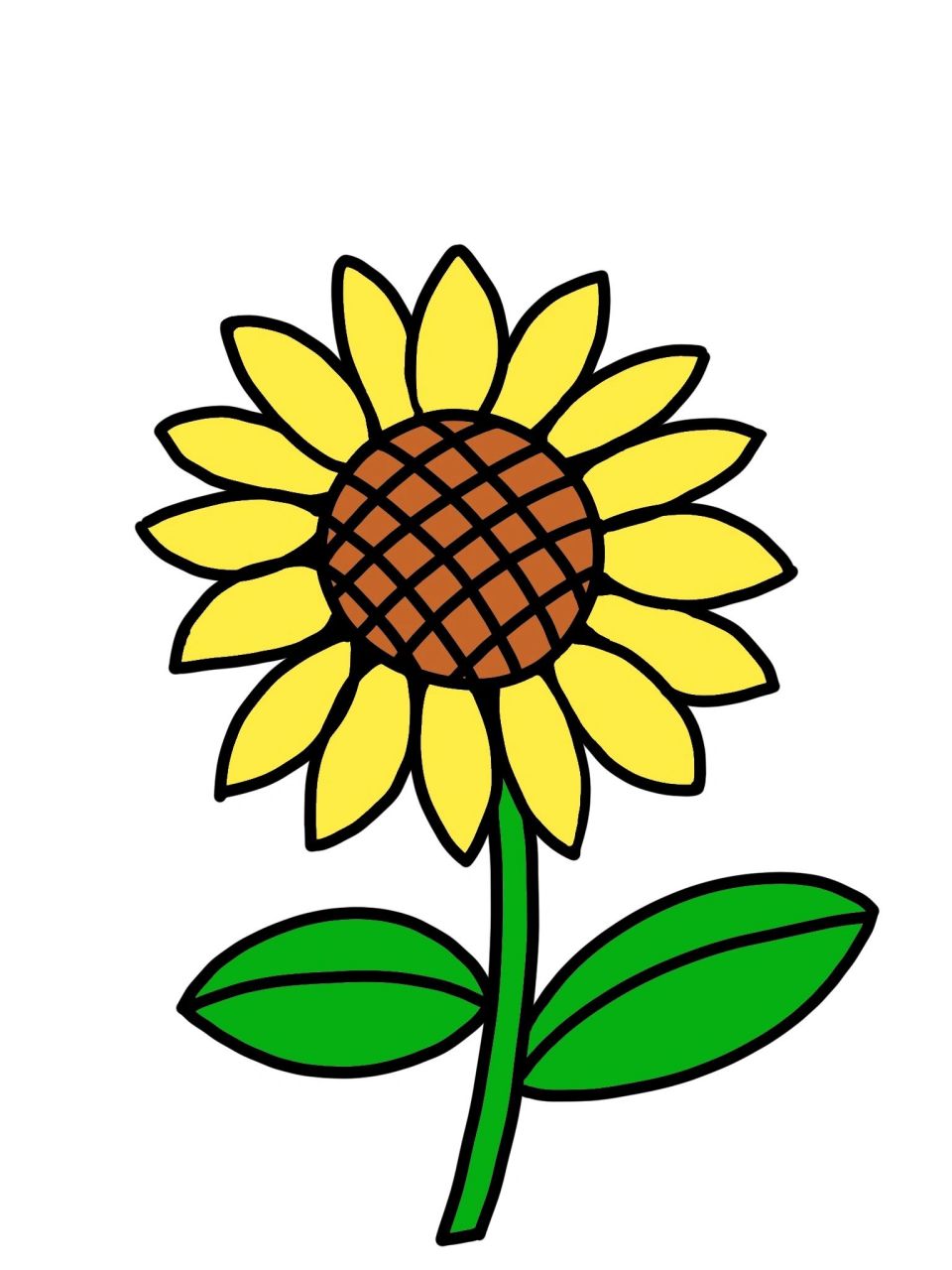 儿童简笔画|向日葵9898 大家好!