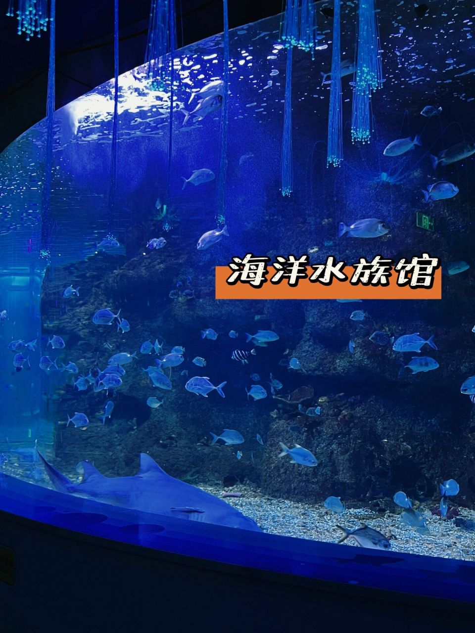 太原水族馆图片