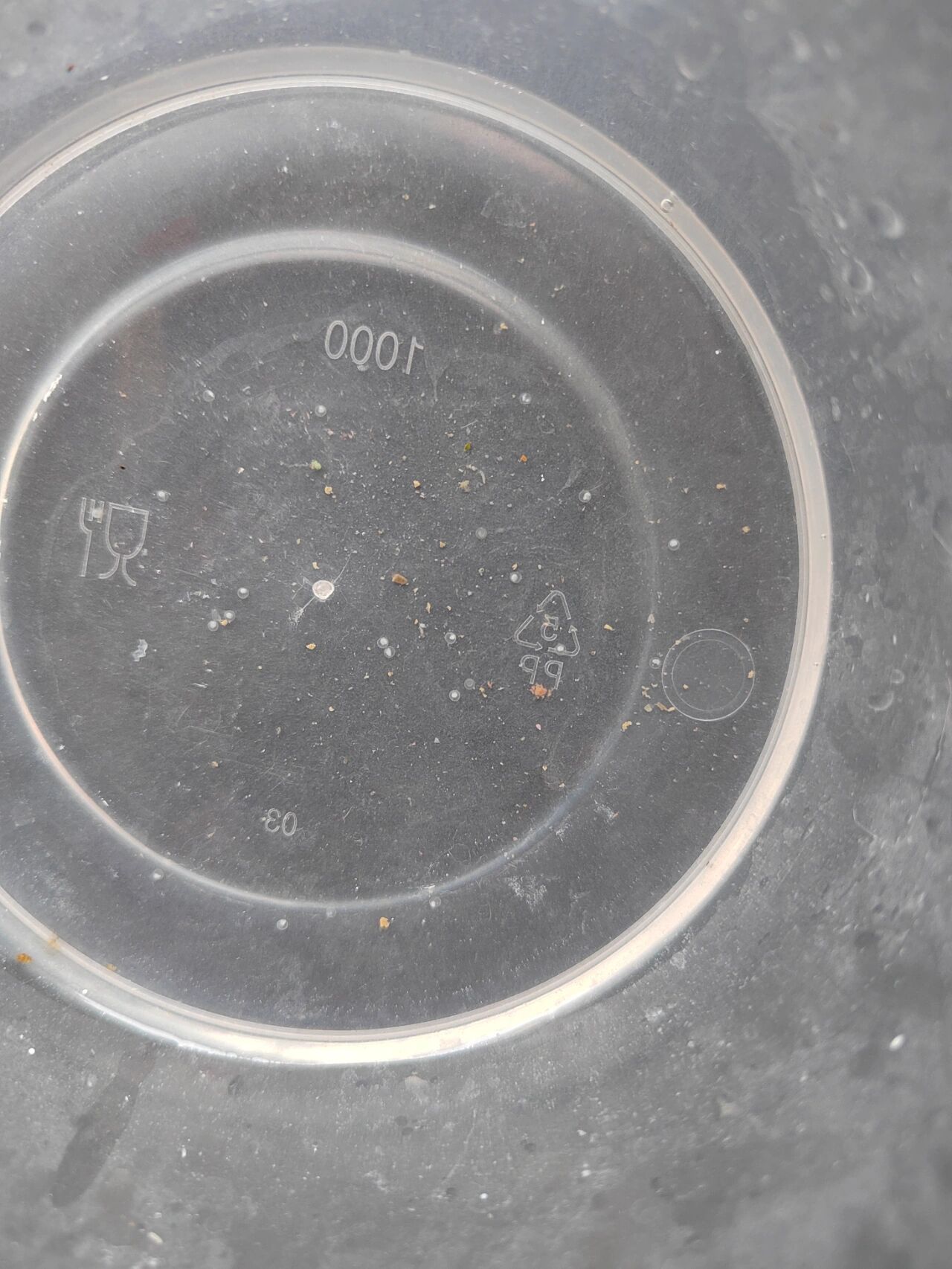 请教这是斑马鱼卵吗?