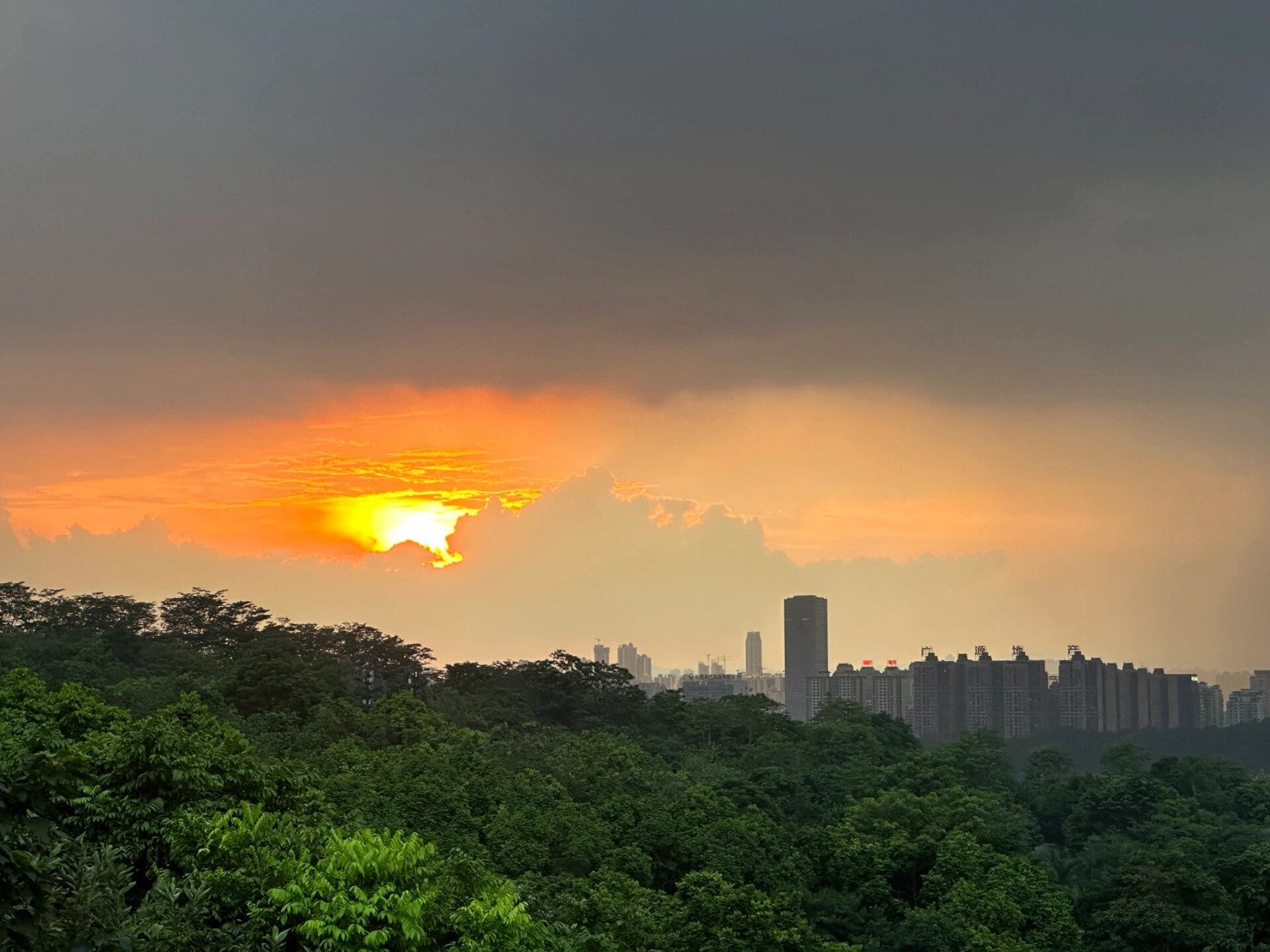 南宁青秀山风景区旅游攻略 假如你来过南宁,但没有去过青秀山,那将是