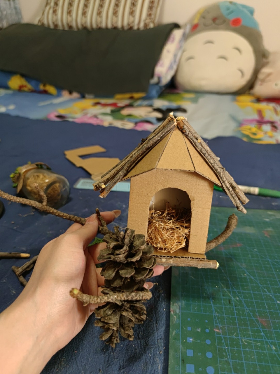 diy鸟窝(附简单过程图) 捡点木条,松果,树叶,废快递盒,干草,diy一个小