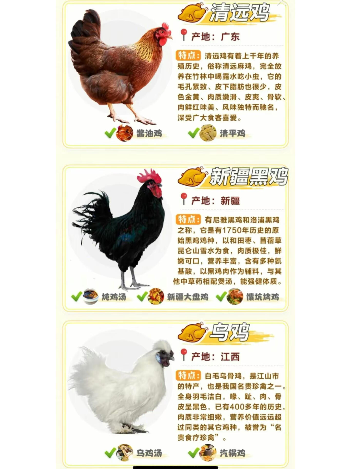 常见鸡的区别及特点
