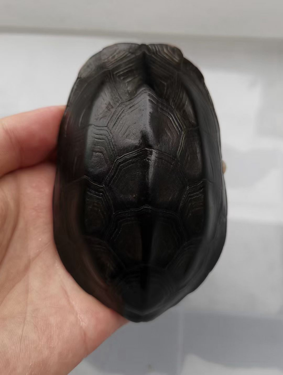 镇宅墨龟,辟邪首选! 顶级无锈24k刀刻满纹纯炭墨,密纹路小掌墨,绝品.