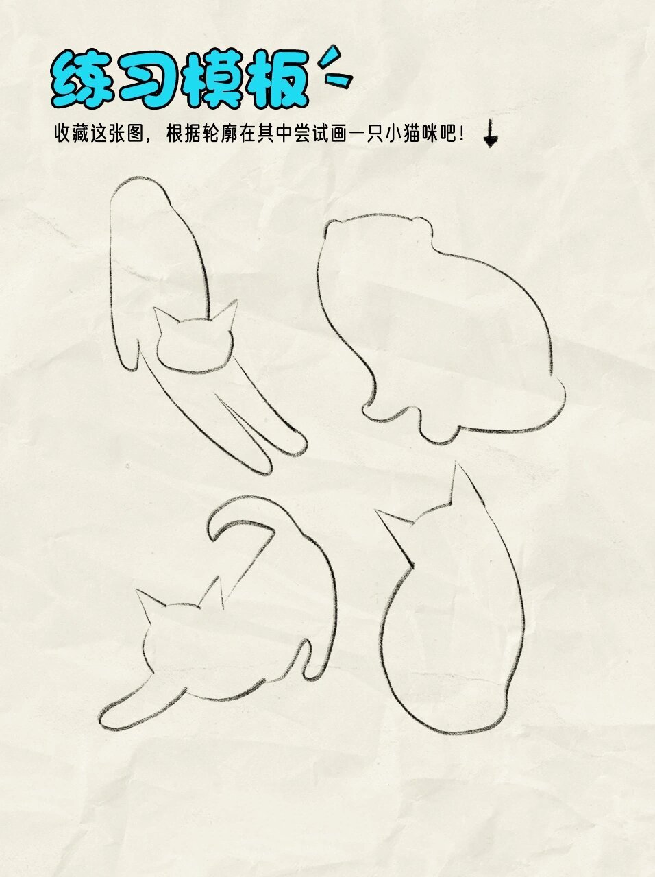 用几何图形概括动物—猫 观察猫咪外形特征,保留歪头形态,在此基础上