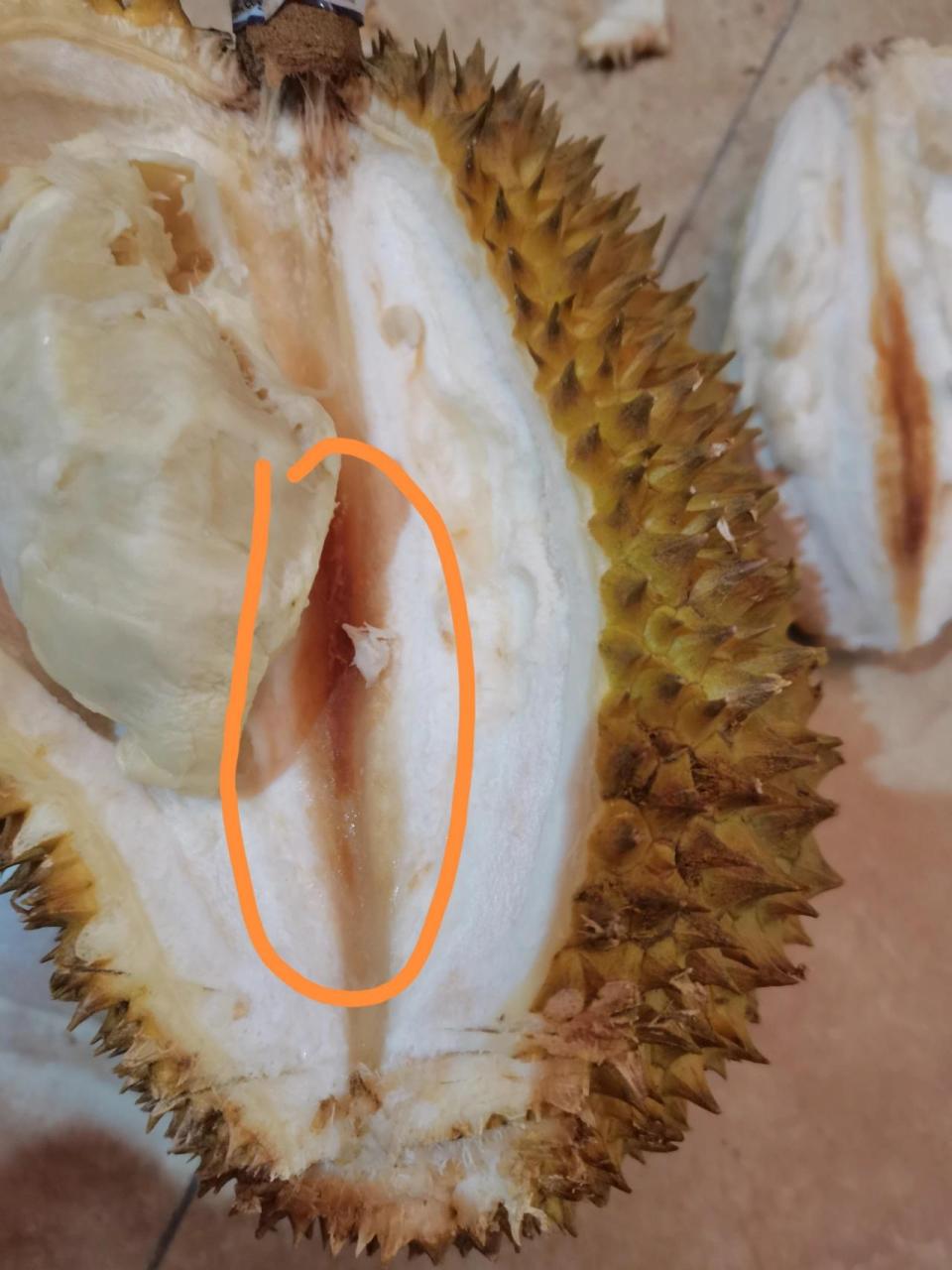 榴莲中间发黑这种是变质吗 每次买都是白色的