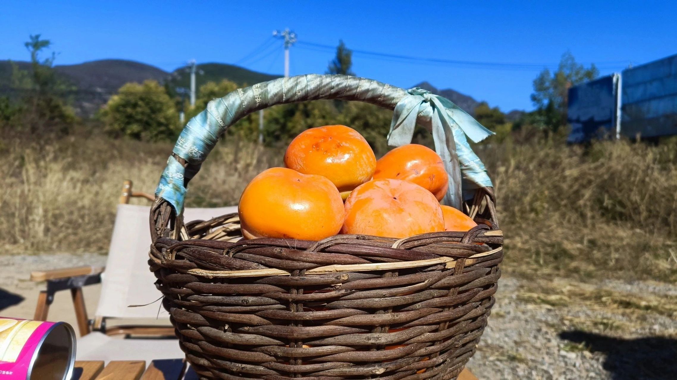 对就是房山张坊镇 磨盘柿子,今天我们开心农庄偶遇 野享玩!