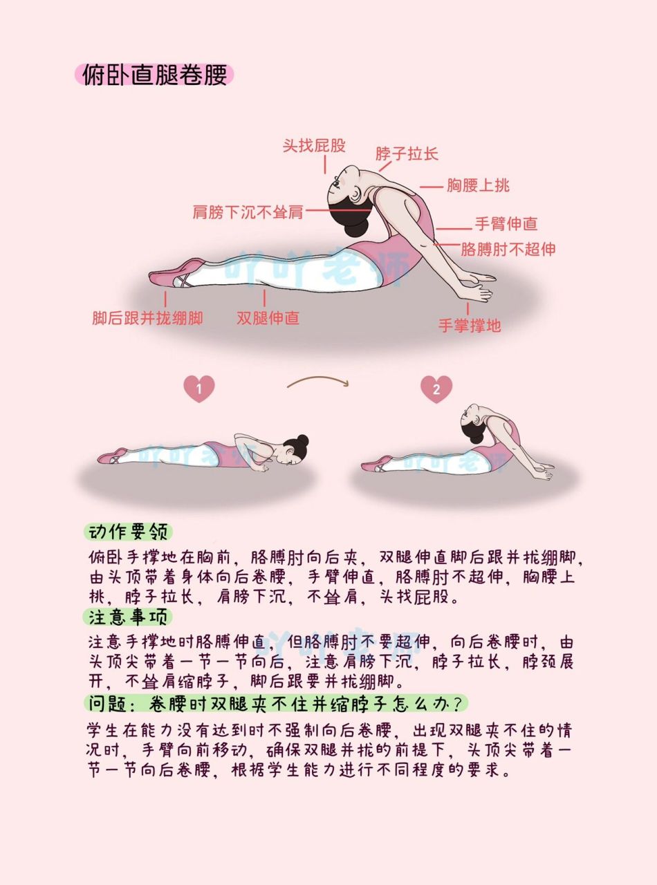 启蒙班基本功|腰的训练-俯卧后卷腰