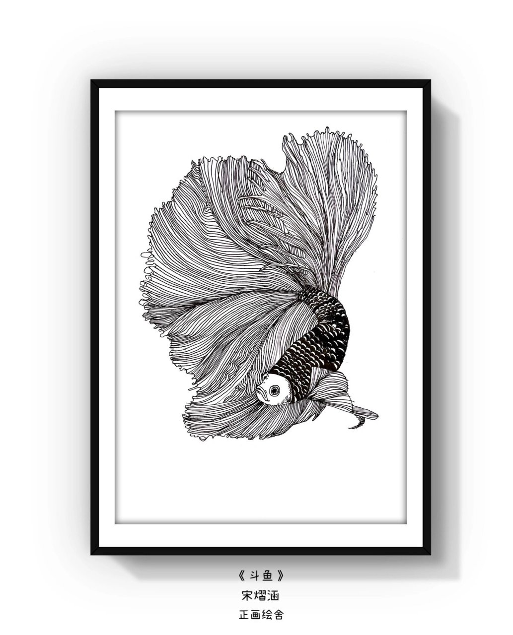 黑白线描画/《斗鱼》 斗鱼照片写生 孩子们的观察力,耐力以及线条控笔