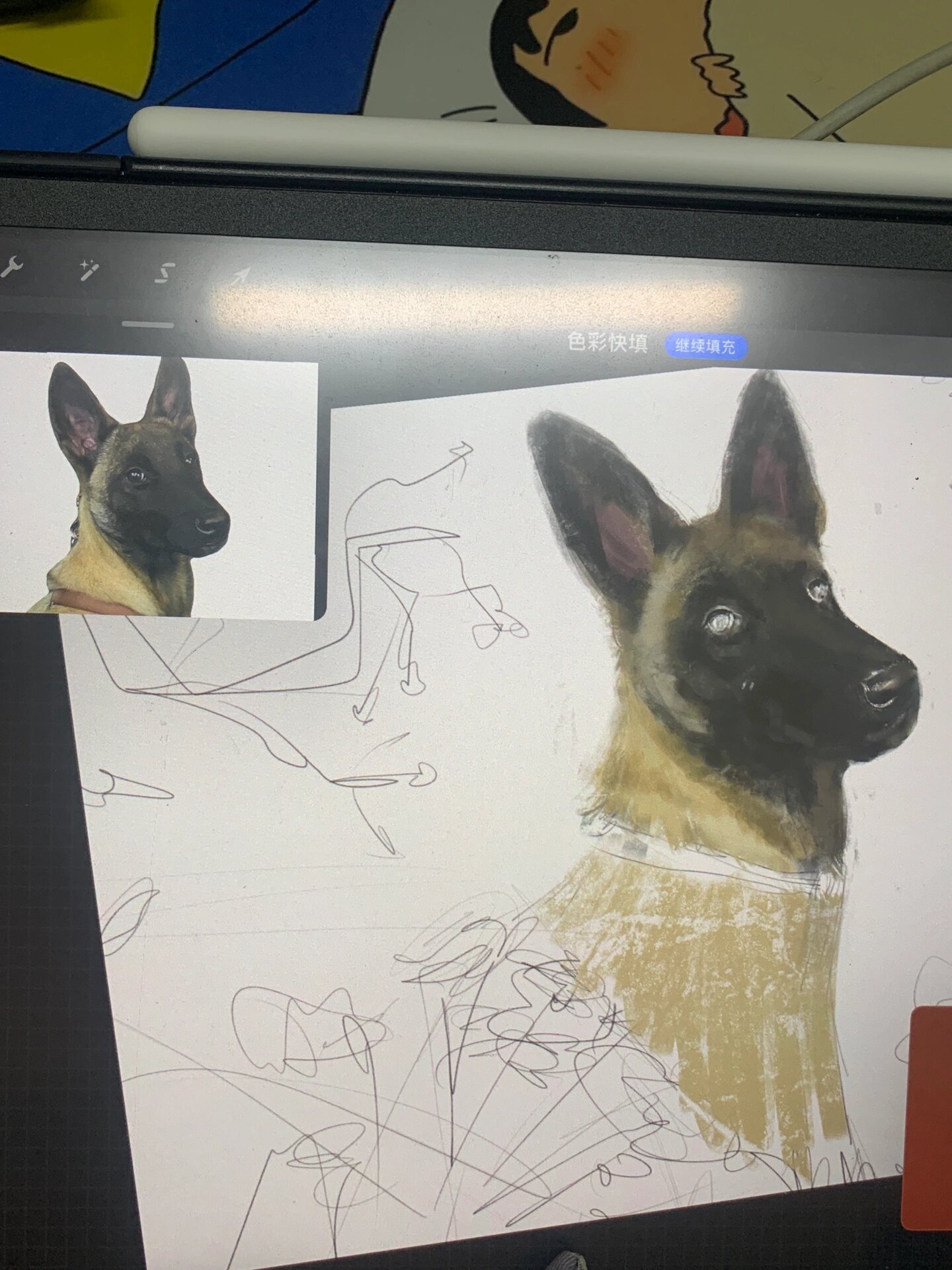 今天画马犬 这是我的小狗 第一次画小动物 开心