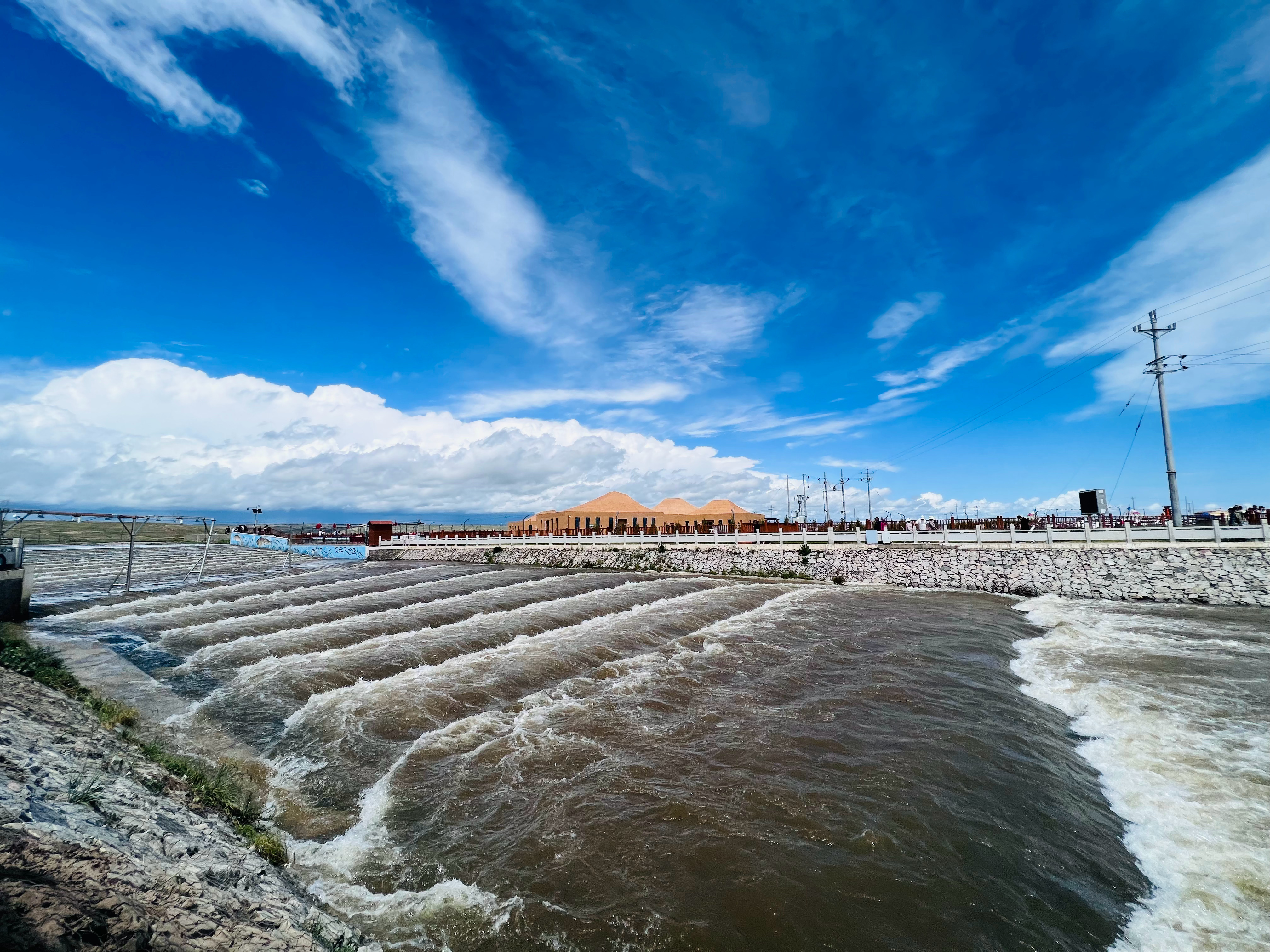 寻美青海走进刚察# 每到洄游季节,成千上万的湟