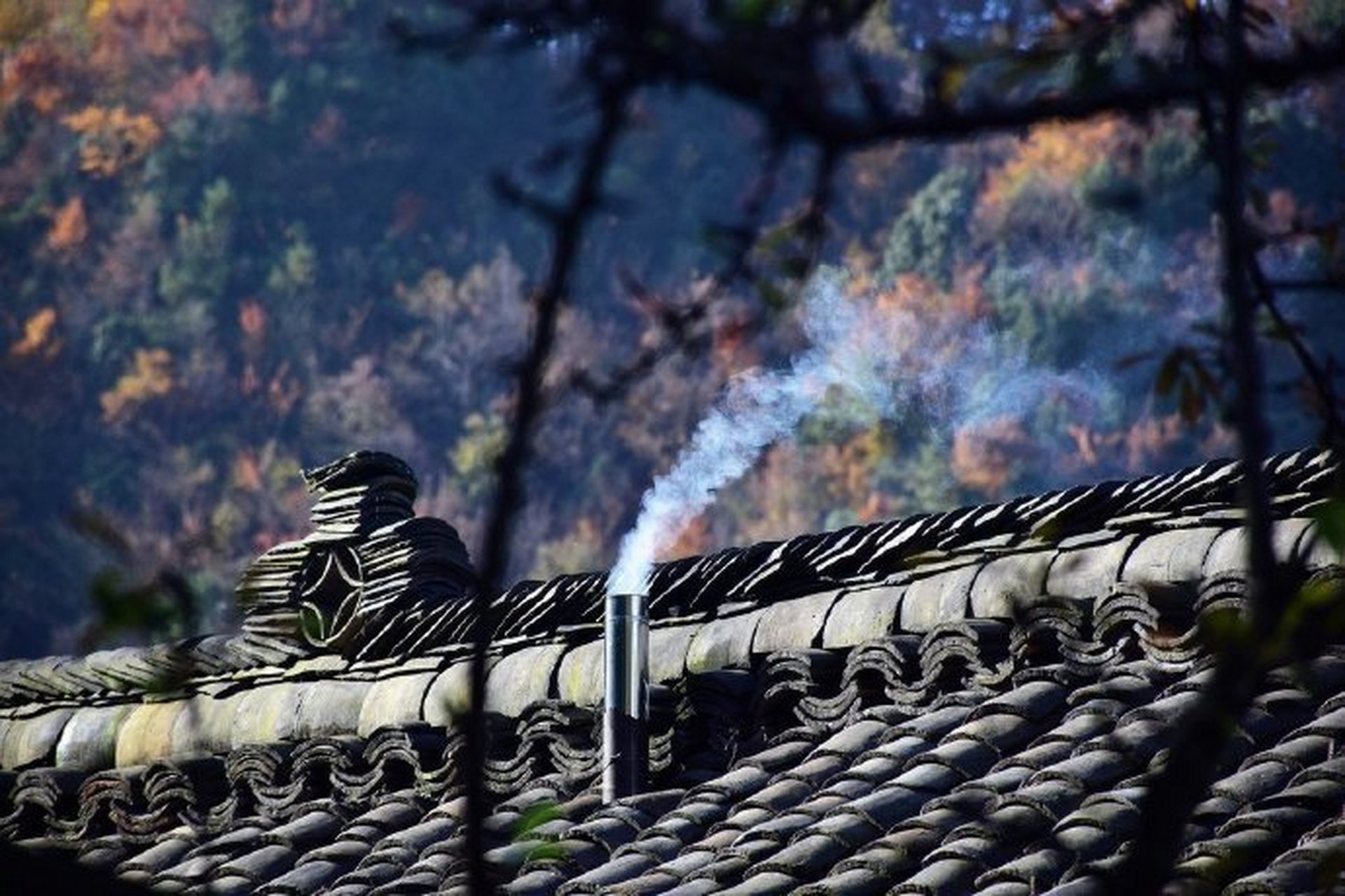 人间烟火气就是最动人的风景