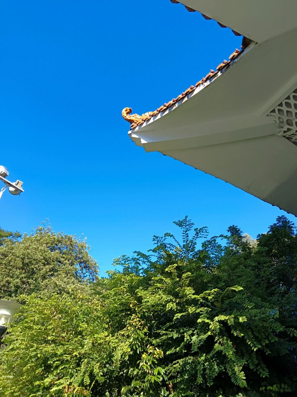 美丽的东岳公园 这样的蓝天可能要明年才能见到了.