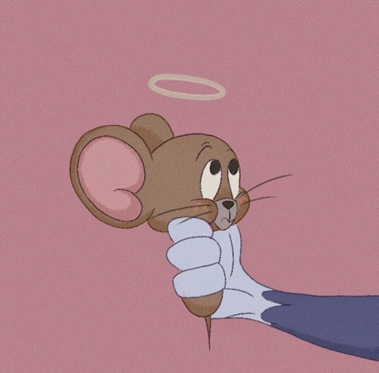 猫和老鼠情头    来啦!