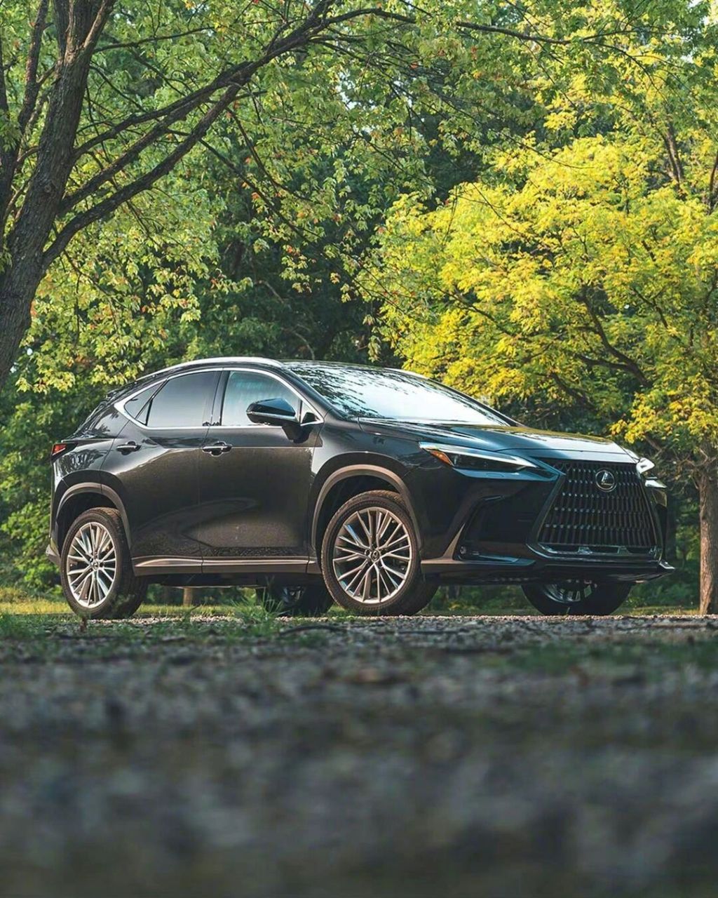 新款雷克萨斯nx发布,你们觉得怎么样71 962022款雷克萨斯nx正式