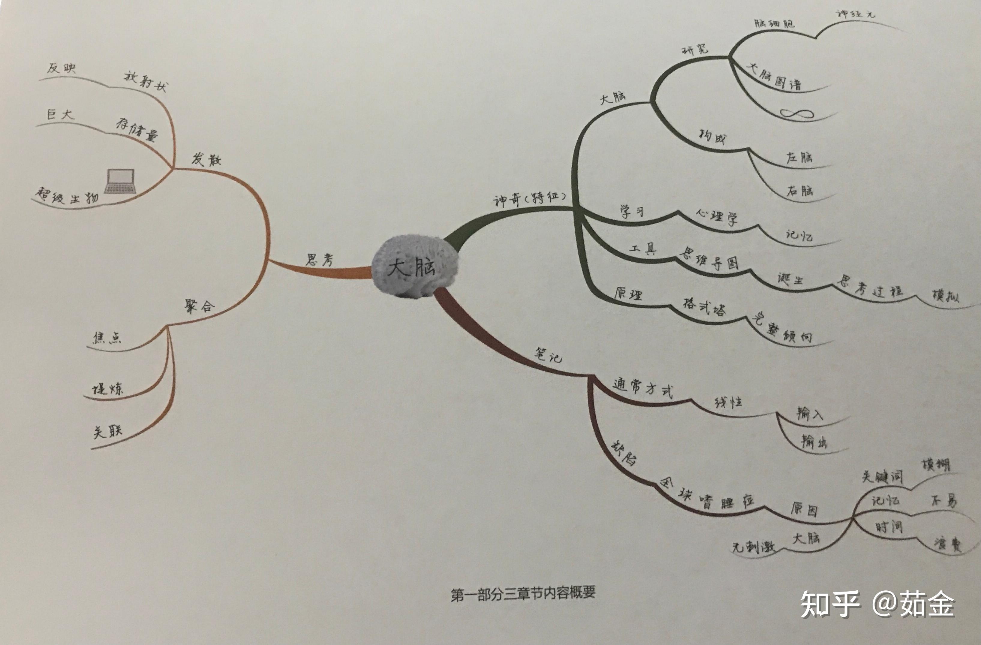 读书笔记思维导图之原理人脑的无限能量和潜力