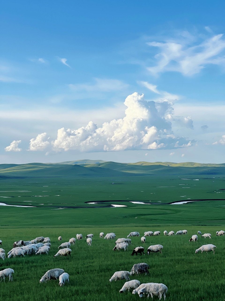 day101被呼伦贝尔治愈了 07:海拉尔 – 莫日格勒河 – 入住