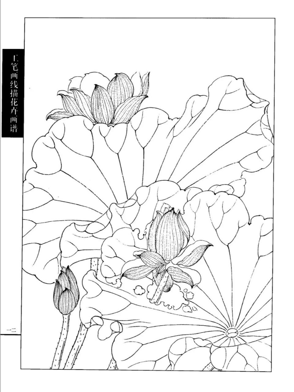 工笔线描荷花(一) 予独爱莲之出淤泥而不染,濯清涟而不妖,中通外直,不