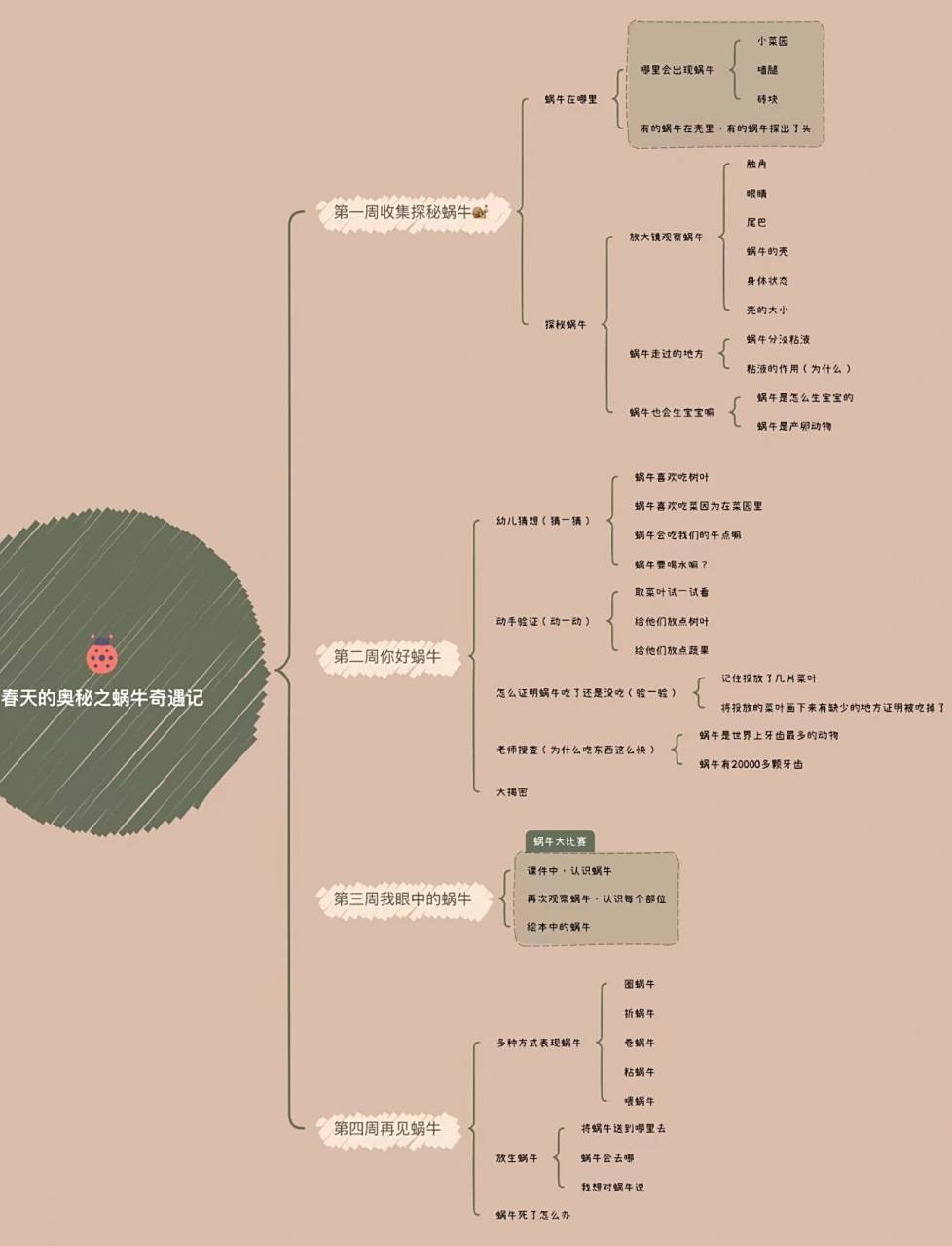小班,中班,大班关于春天的主题网络图