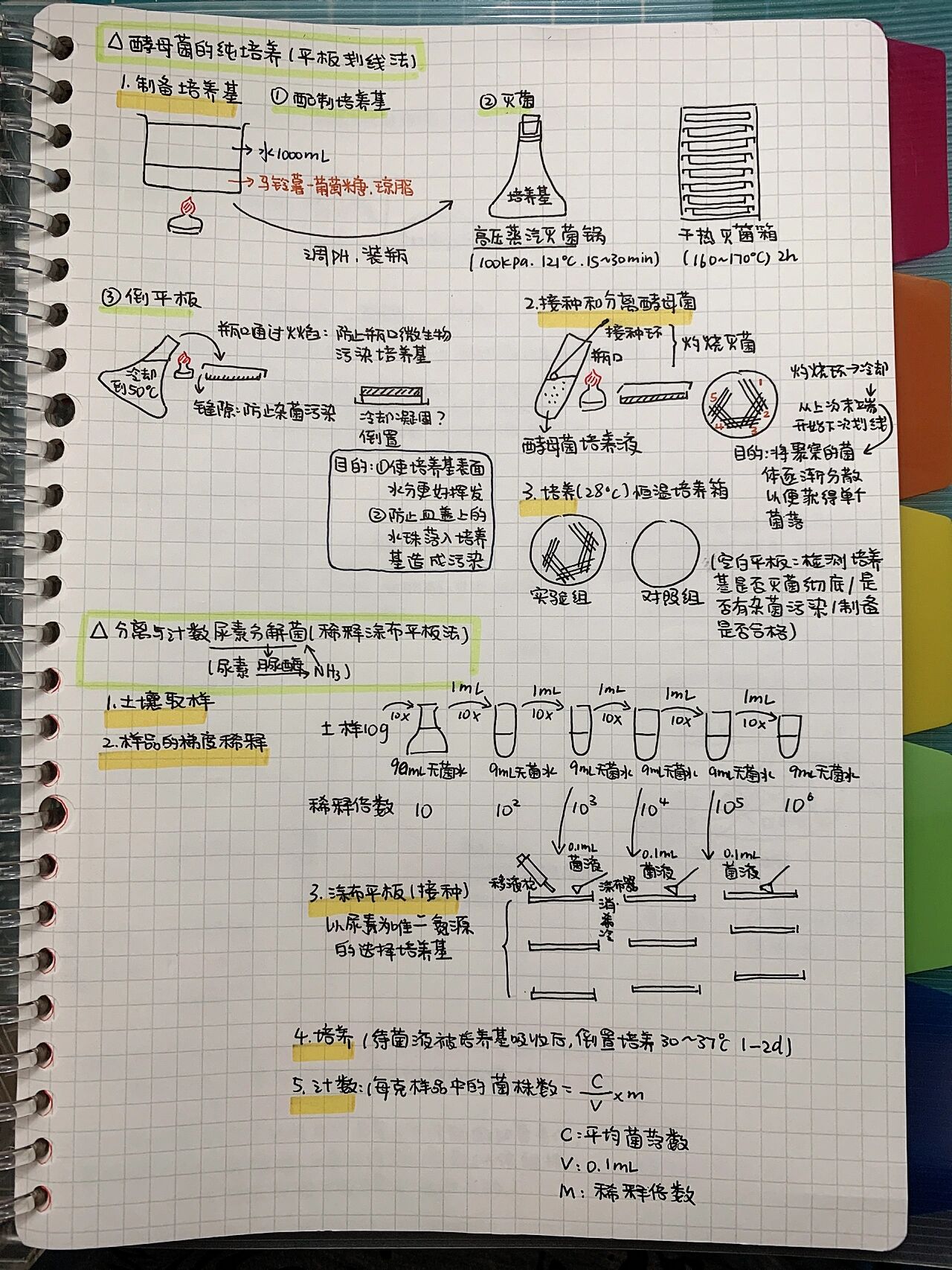 涂布平板法图片