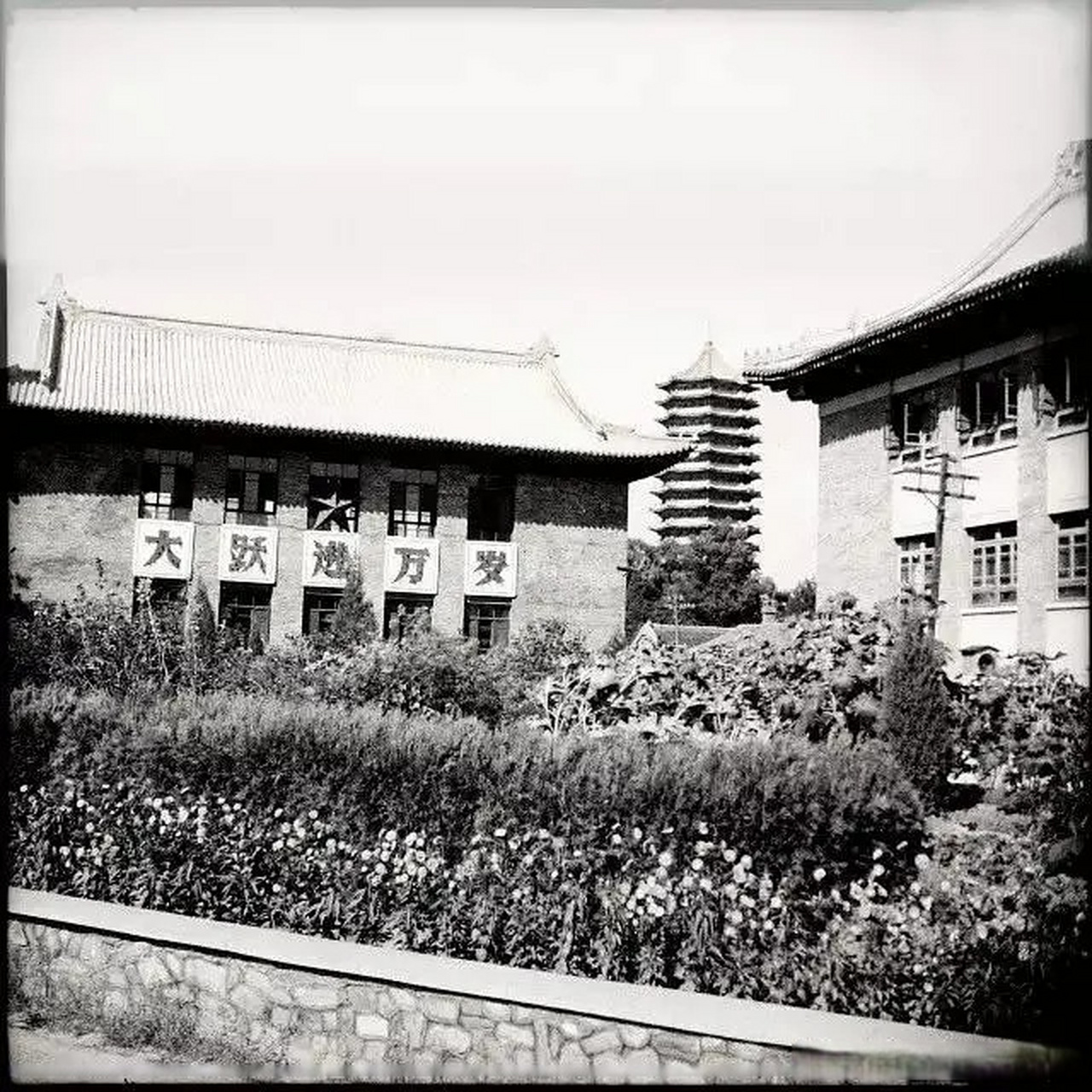 北京大学历史图片