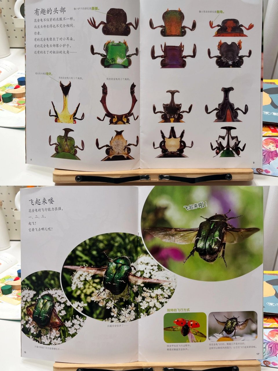 那些适合幼儿园小班的绘本杂志93 73《幼儿画报》:是中国少年儿童