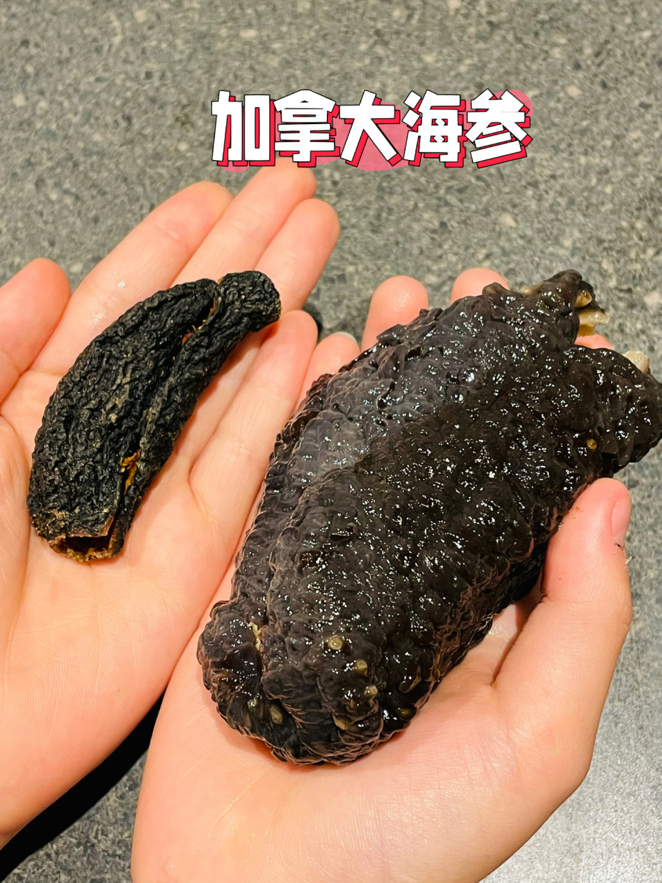 二天后海参已经回软长大,稍微清洗一下,这种海参已经去内脏去嘴,清理