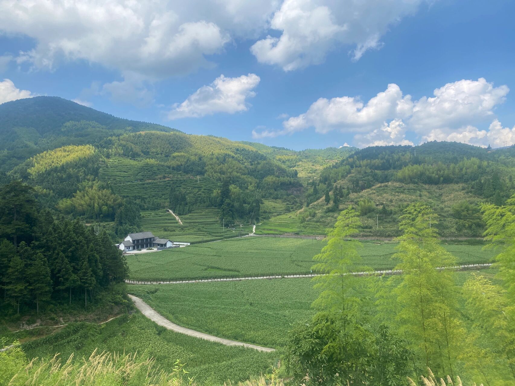 浙江丽水景宁云中大漈一日游|旅行攻略       首先,景色是可以的,但不