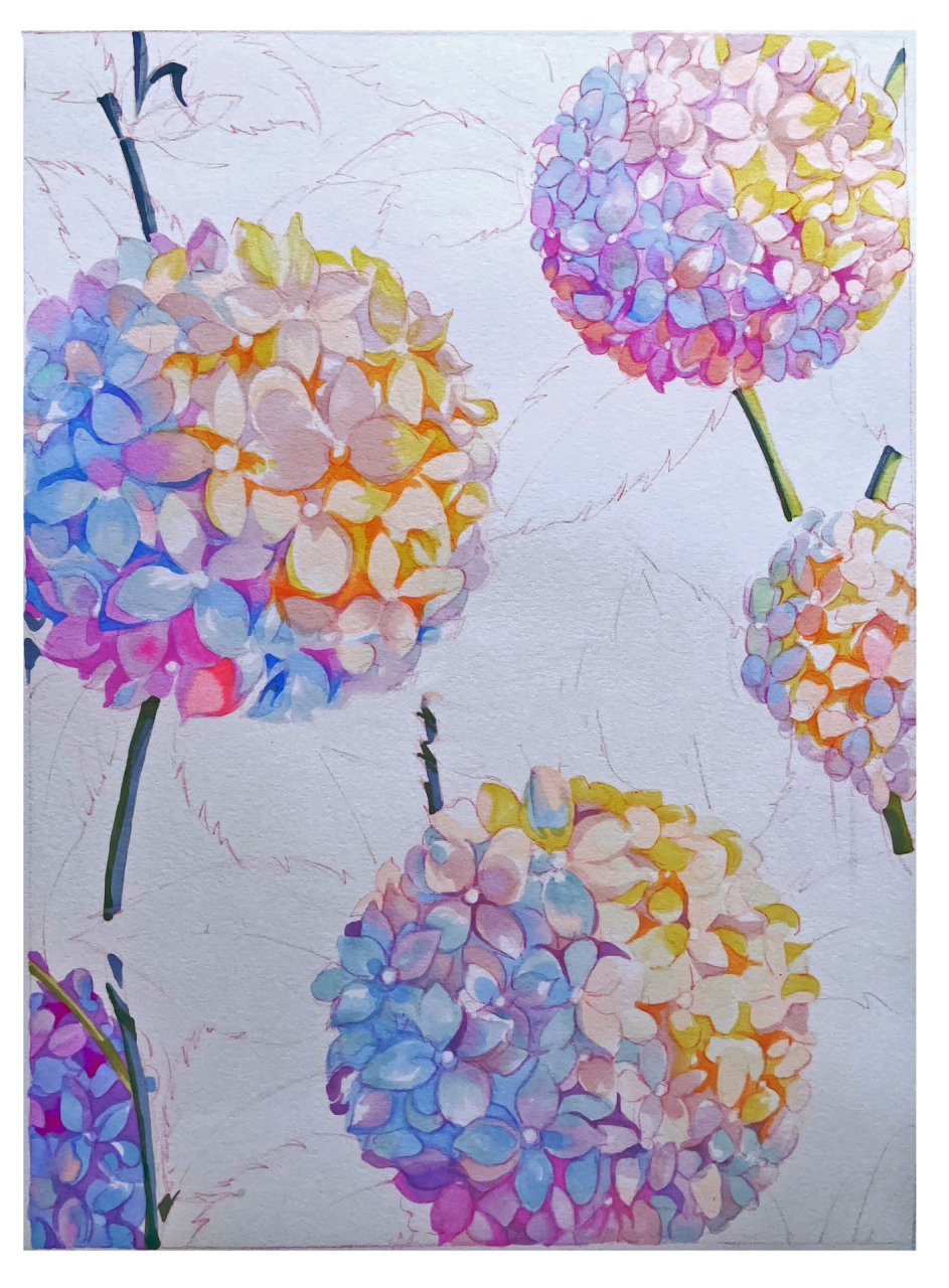 马克笔教程|五步画绣球花 马克笔教程 教你如何五步画绣球花 勾线用的