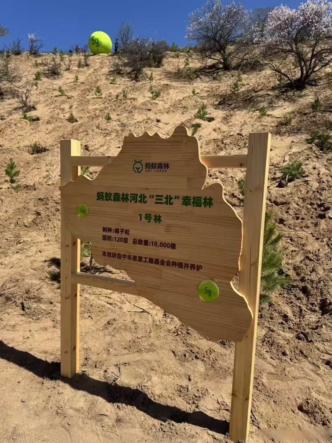蚂蚁森林种下第6亿棵树#4月22日是"世界地球日",蚂蚁森林在河北省