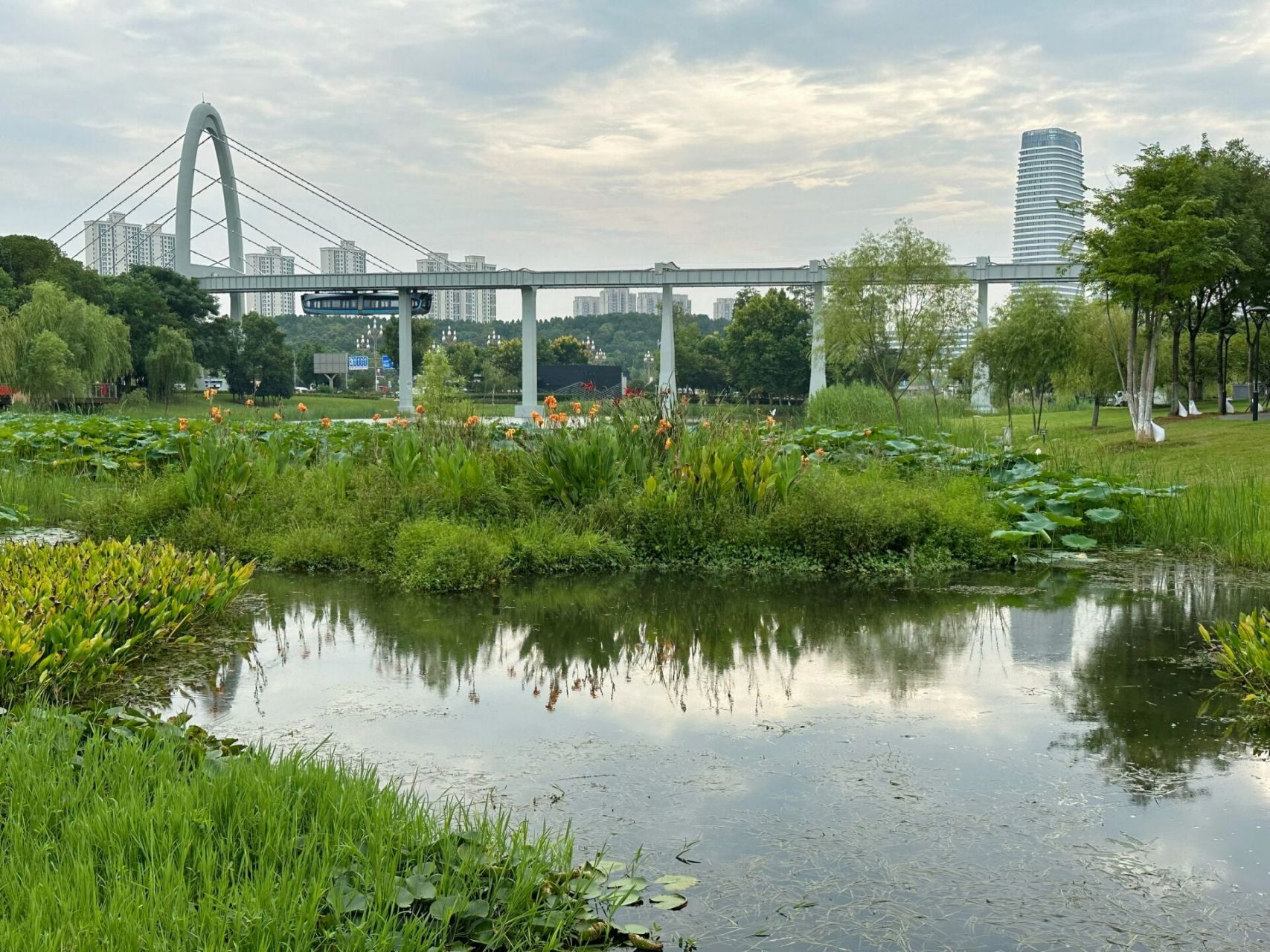 武汉光谷绿色养眼的公园|西苑公园 这个公园位于东湖高新区光谷政务