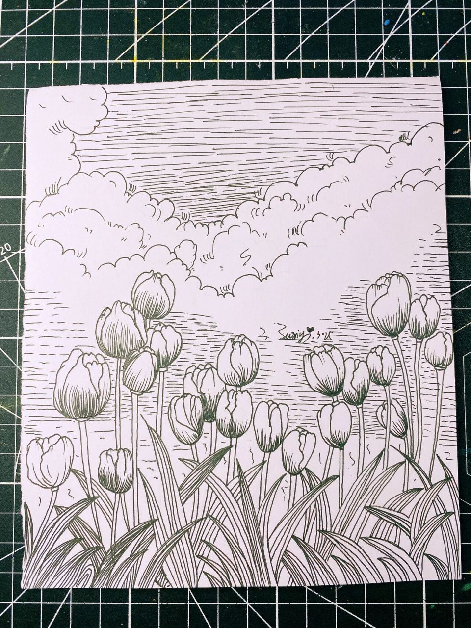 一看就会的线描画|郁金香花海     浪漫的是晚风和你呀.