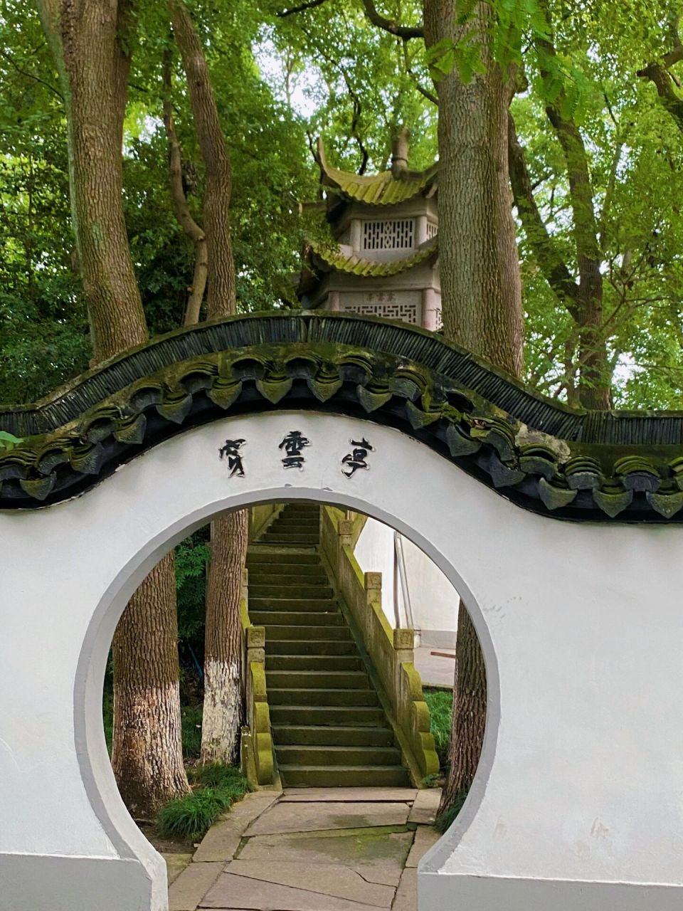 寻岱千古之珠溪园 99珠溪园位于上海市青浦区朱家角古镇东端,是一座