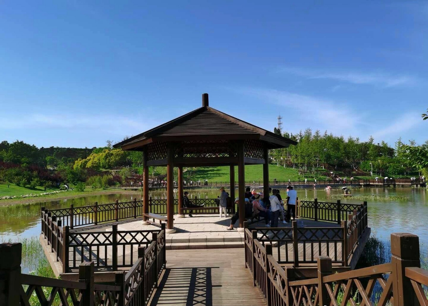 大连金石滩旅游|小小打卡一下 大连本地人的私藏景点金石滩植物园