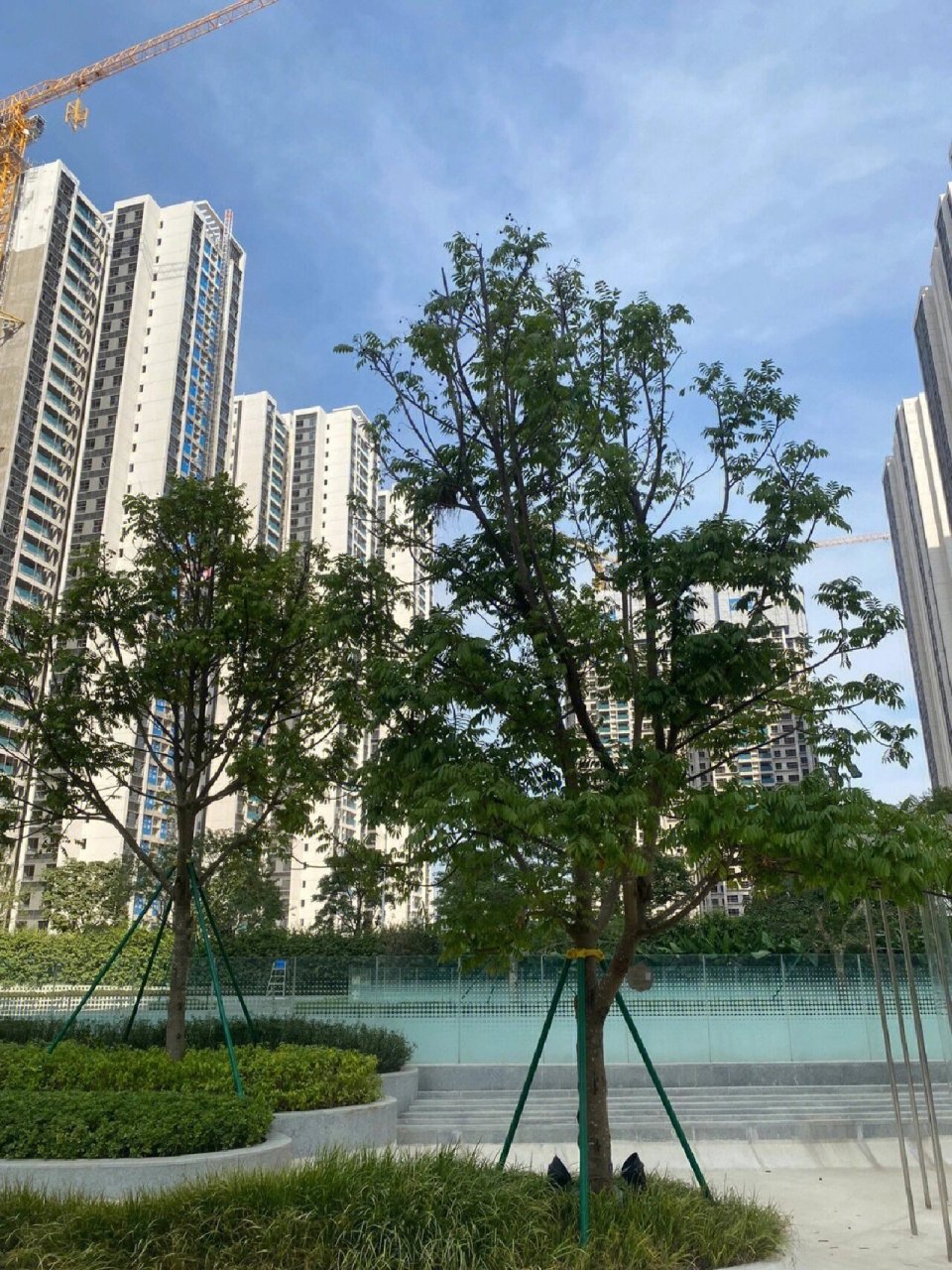 黄埔tod|越秀星汇城|单价2.2w起 9415总占地:约25.