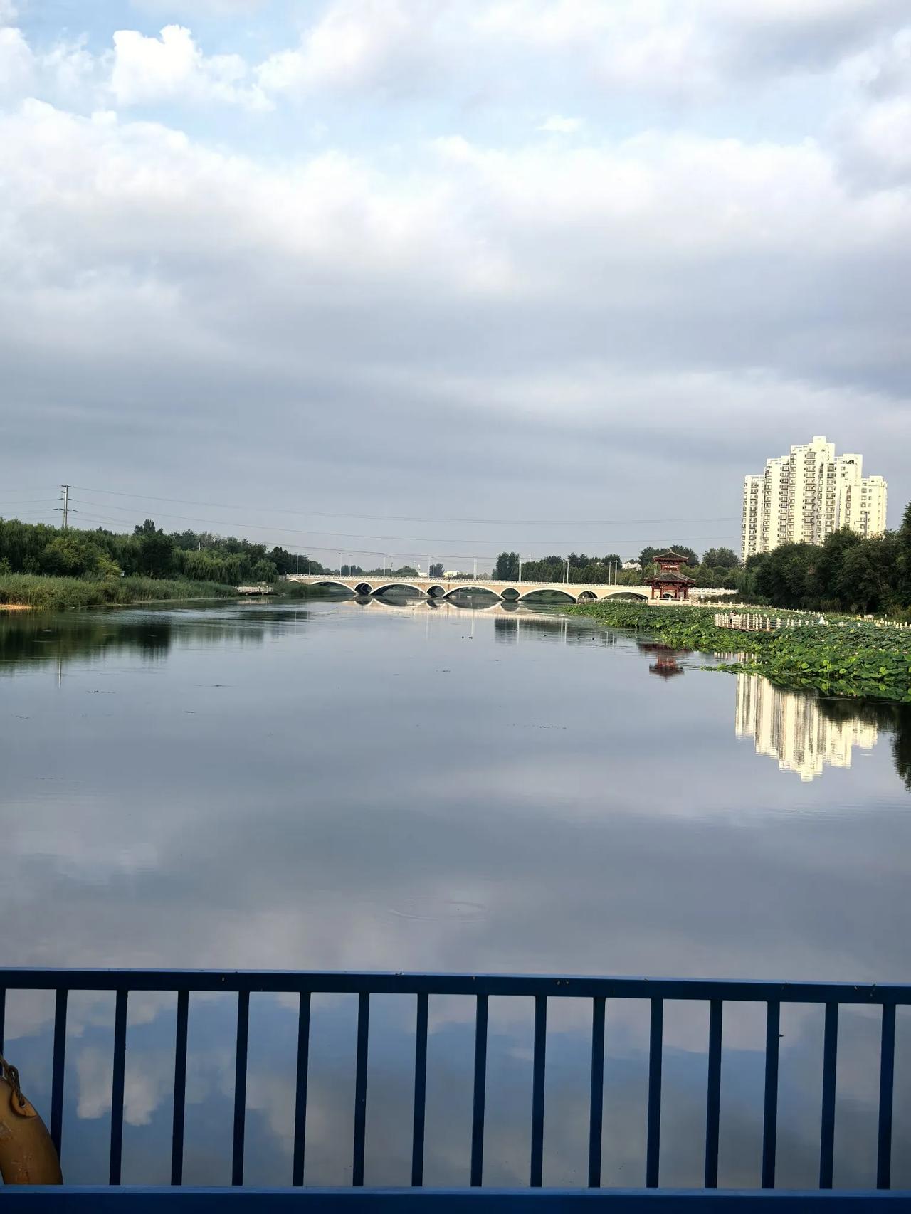 正如古有铁杵历经磨砺终成细针,我们在人生路上,只