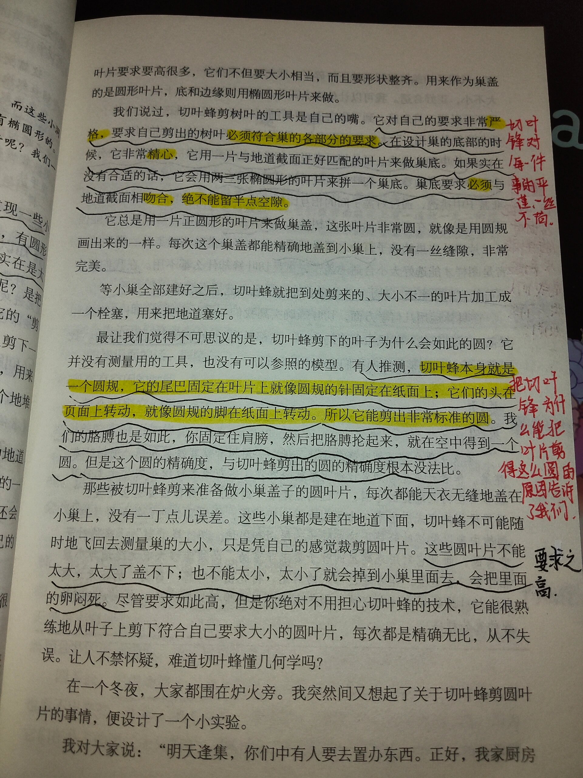 《昆虫记》第6章 切叶蜂