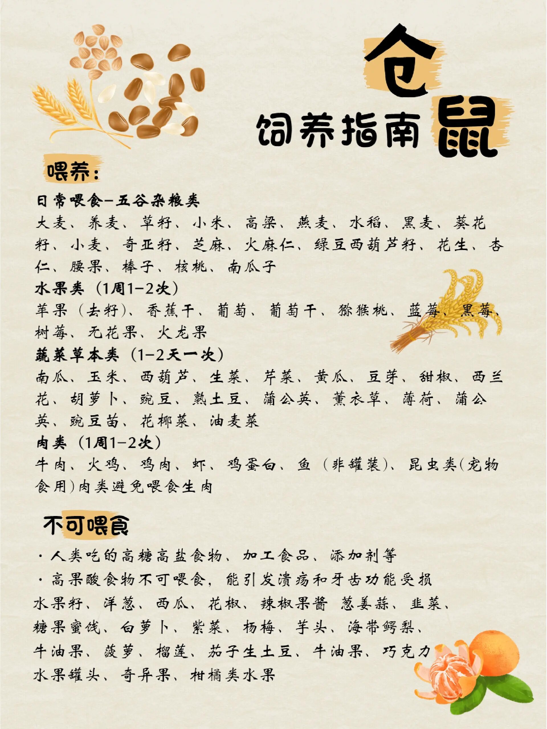 仓鼠科普 | 给孩子饲养仓鼠的第一课,必看