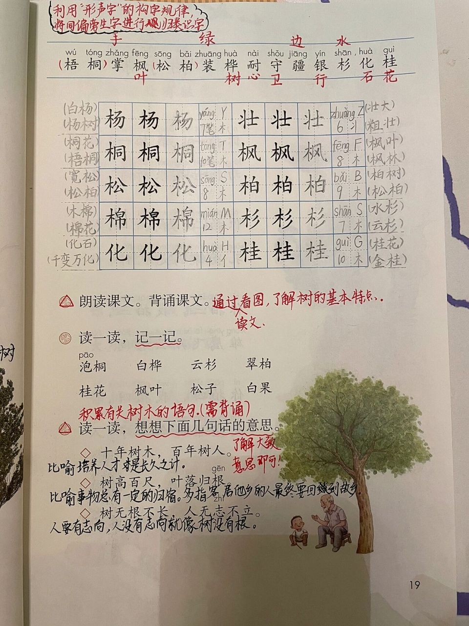 二年级上册语文《树之歌》     《树之歌》田字格练习以及课文重点