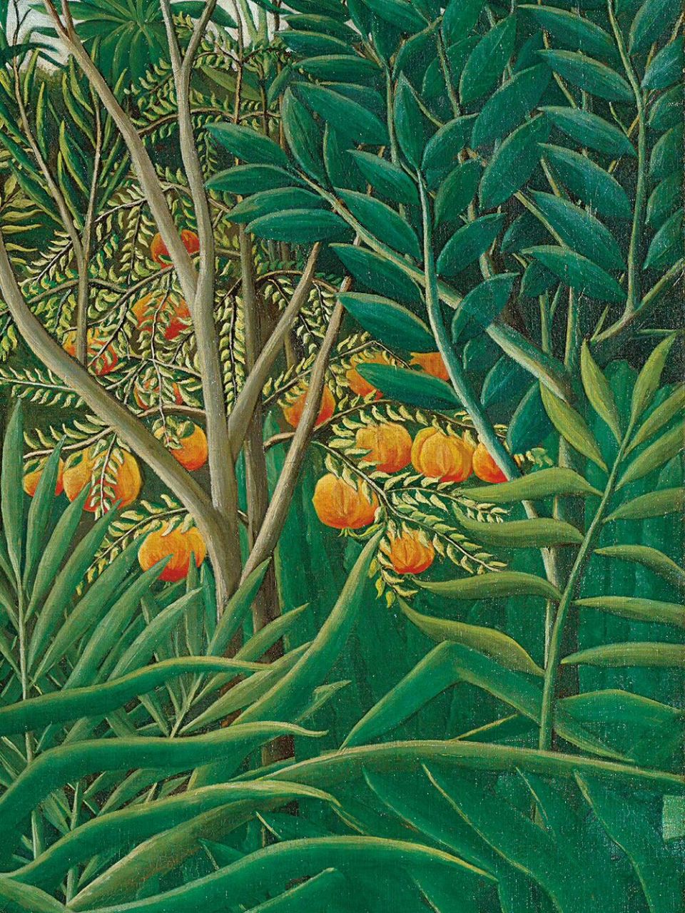 浪漫生活的记录者# #笔记灵感# 卢梭一生热衷于画老虎与丛林,尽管他