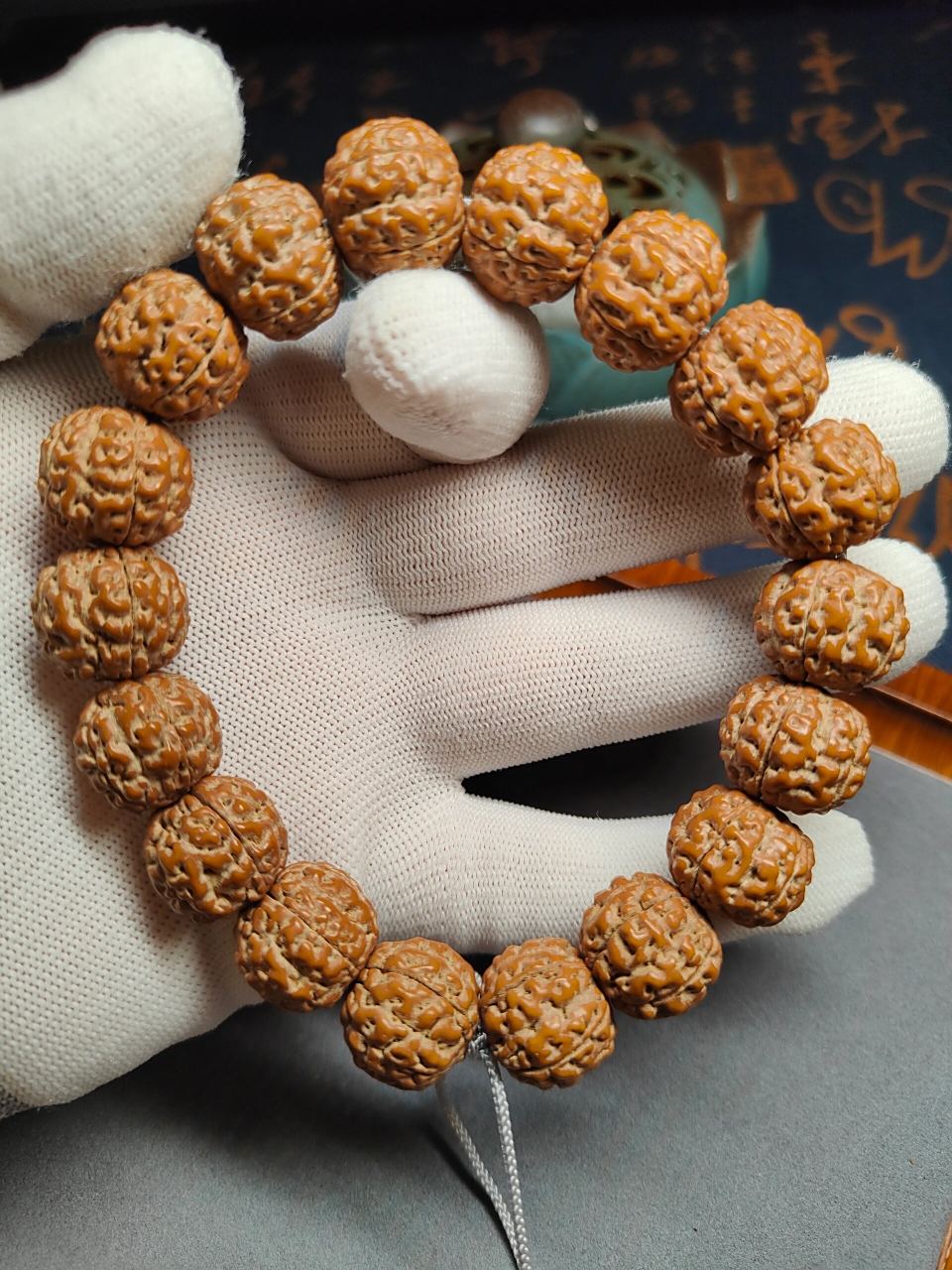 【跳跳龙】小金刚单圈 又名龙珠 今年超火品种 17mm超大尺寸 籽正不歪