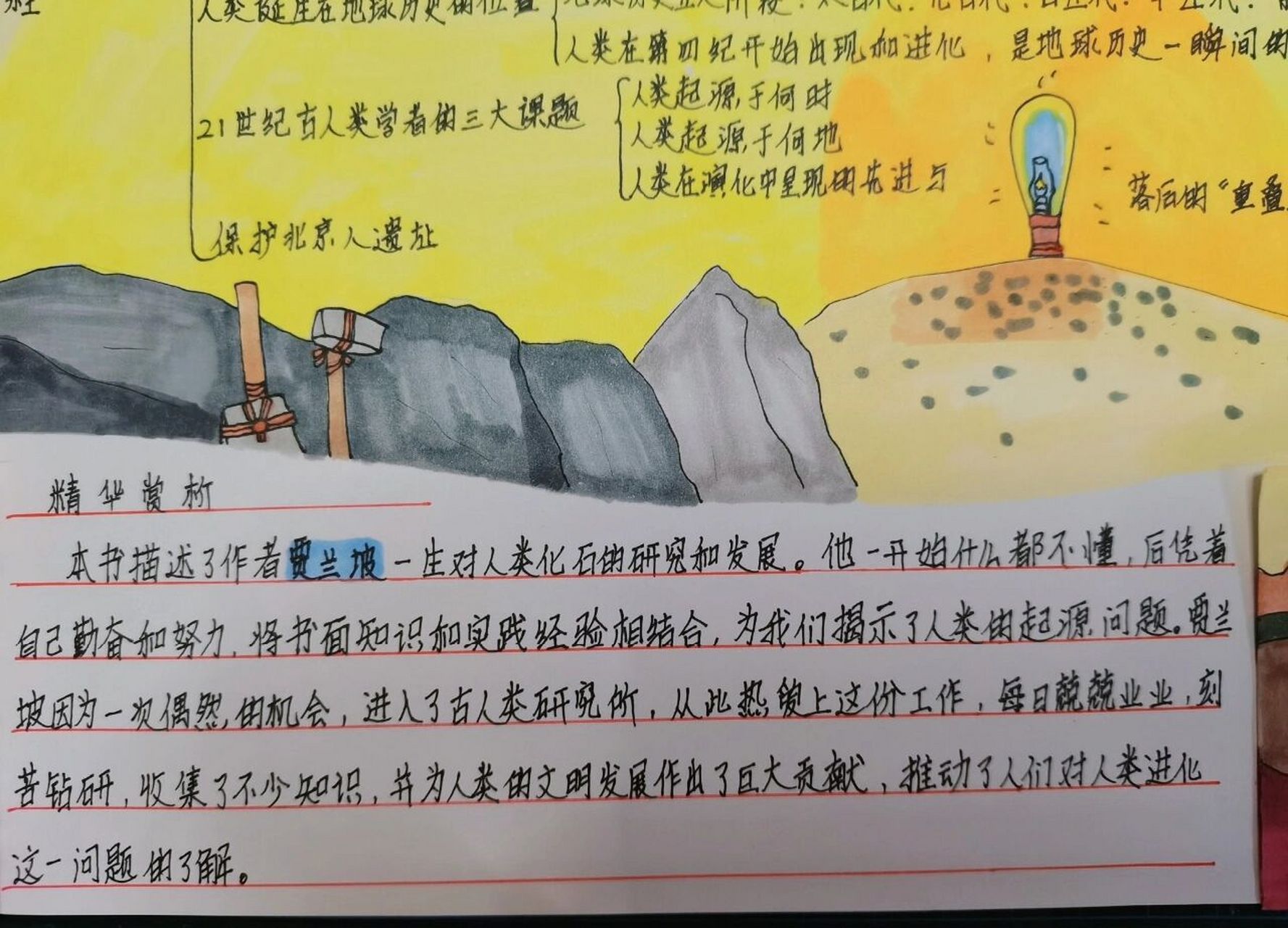 人类祖先科学小报图片