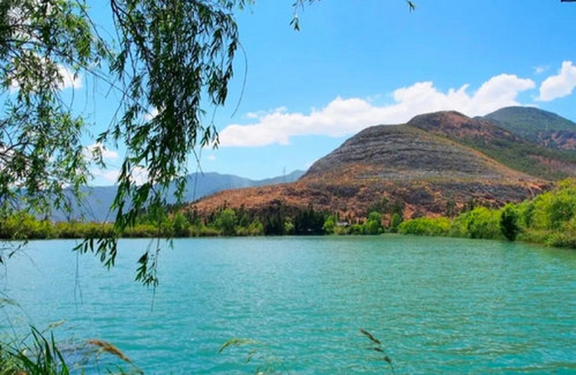 大理鹤庆白龙潭,有没有龙我不知道,不过风景确实不错,水很清,可以看看