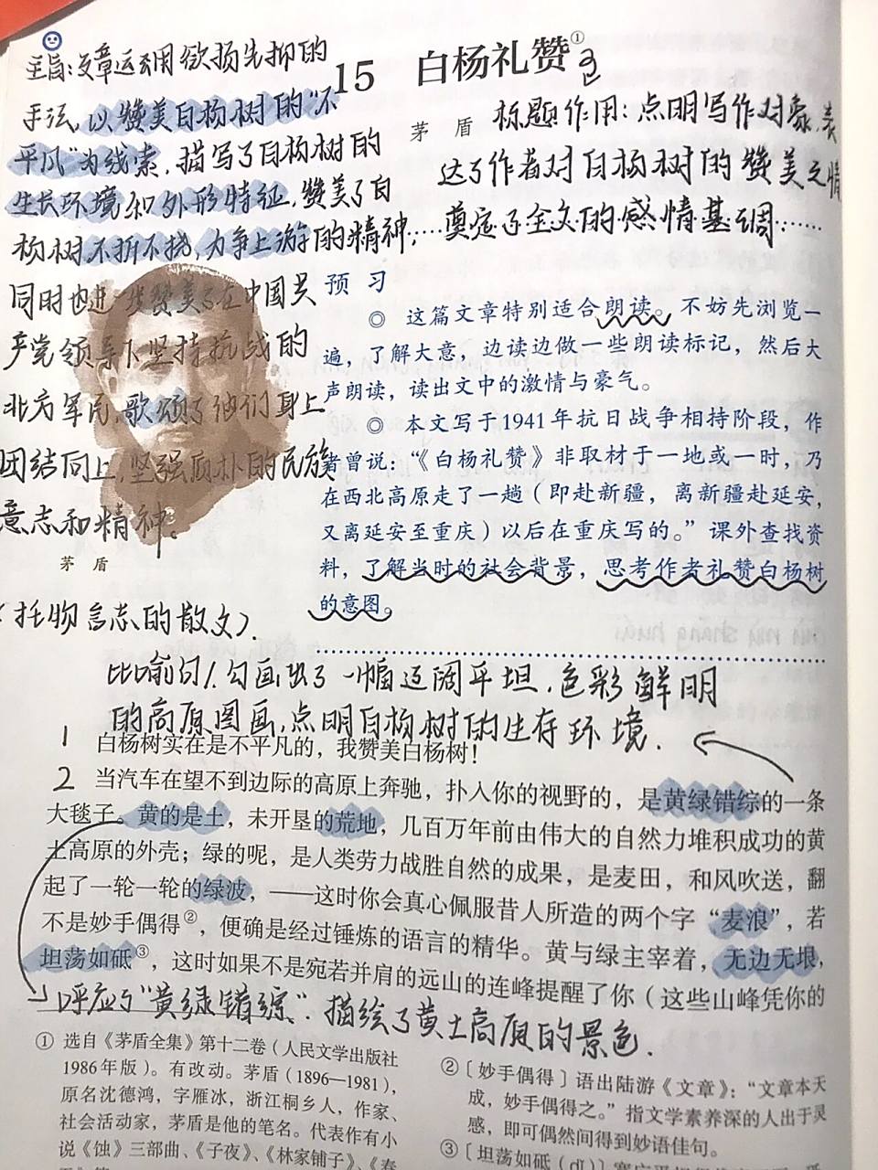 白杨礼赞 语文预习笔记 更新啦嘻嘻!