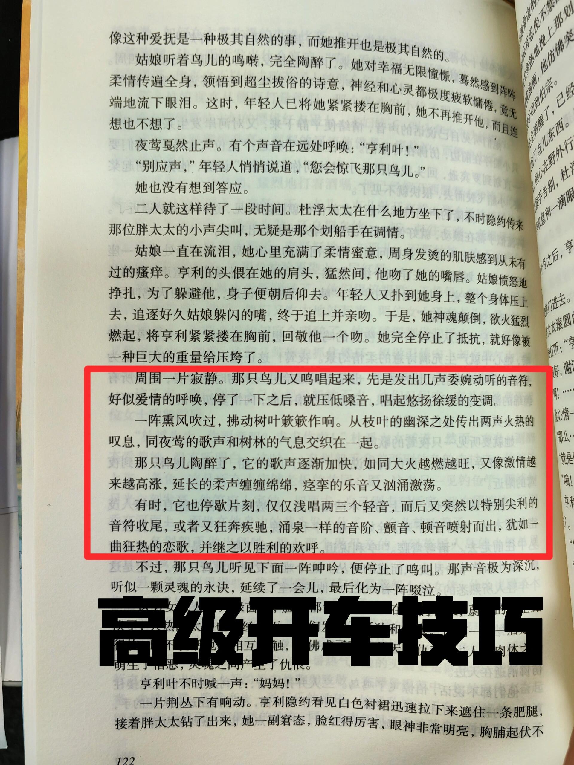 每一章都在开车的小说推荐