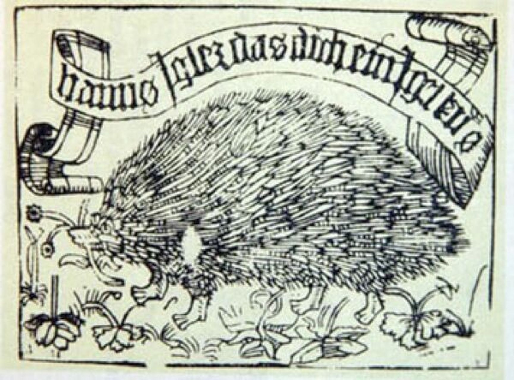 世界第一枚藏书票《刺猬02藏书票》 藏书票是藏书的附属物,是藏书者